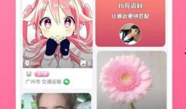 老姜爆料视频大全下载最新,揭秘娱乐圈最新动态