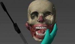 人体模型最新爆料视频网,最新爆料视频深度解析