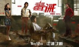 毒诫在线观看完整版,生死边缘的救赎之旅