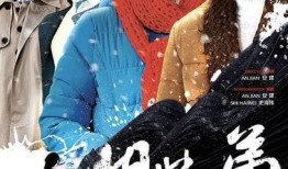 电视剧姐妹兄弟在线观看,情感纠葛，命运交织的家族传奇