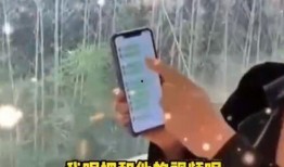 张兰爆料卖房了吗视频大全,视频大全揭示惊人内幕