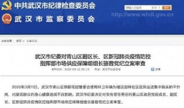 武汉新闻平台爆料事件最新,神秘事件引发社会关注，真相即将揭晓！