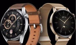 华为最新智能手表爆料软件,颠覆传统，引领智能穿戴新潮流