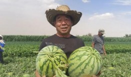 吃瓜网怒江网红,吃瓜网热议的神秘人物