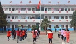 洛阳嵩县爆料事件最新进展