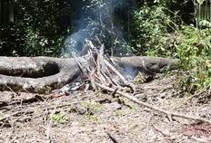 野外求生爆料视频大全最新,揭秘最新爆料视频大全