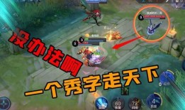 老鸟王者爆料视频大全最新,视频大全背后的精彩瞬间