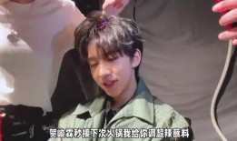 贺峻霖严浩翔最新爆料,揭秘娱乐圈不为人知的幕后故事