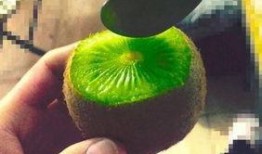 如何吃抖音网红瓜,如何轻松吃瓜，畅享娱乐盛宴