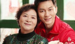 李晨父亲爆料是哪一集视频,揭秘李晨身世之谜，哪一集视频揭露惊人真相？