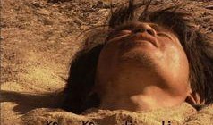 电影可可西里在线观看,探寻藏北高原的生态奇迹