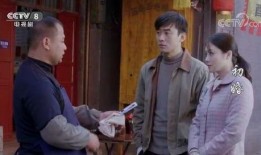 初婚电视剧在线观看,爱情与现实的交织