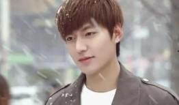 爆料韩国李敏镐视频播放,幕后真相引发热议