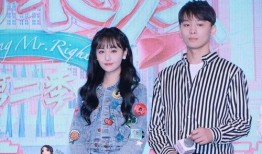 娱乐圈吃瓜整合贴,明星幕后故事全解析