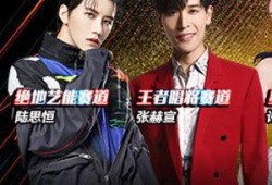 演员歌手爆料视频播放,明星爆料视频幕后真相大曝光