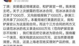 崔永元爆料偷税视频,揭秘娱乐圈潜规则与税务黑洞