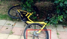 单车爆料视频大全集,揭秘骑行界的精彩瞬间与幕后故事