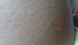 吃鸡皮肤爆料最新载具,全新载具亮相！吃鸡游戏最新皮肤爆料揭秘