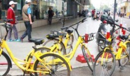 单车爆料视频大全集,揭秘骑行界的精彩瞬间与幕后故事