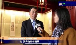 故宫院长爆料新闻视频播放,新闻视频背后的故事与幕后花絮