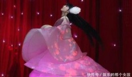 杨彩旗春晚爆料了吗视频,揭秘幕后真相