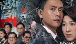 保护证人组在线观看,在线观看背后的惊险故事