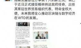 匿名爆料者造谣事件视频,真相与谣言的较量