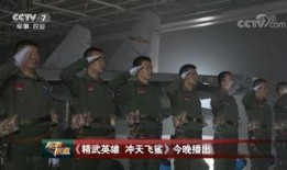 飞行员真实爆料视频播放,揭秘航班背后的真实瞬间