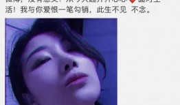 男星被嫂子爆料了视频,真相与争议