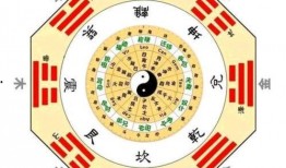 每日阴阳八卦爆料最新,最新神秘爆料大揭秘