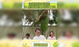 热点爆料娱乐新闻