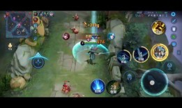 老鸟王者爆料视频大全最新,视频大全背后的精彩瞬间