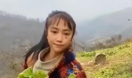 灵儿被爆料视频在线观看,揭秘背后真相