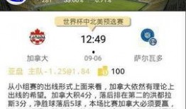 加拿大高管爆料视频播放,揭秘企业内部惊人内幕