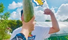 认真吃瓜网红是谁啊,网络红人的崛起与影响力