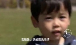 白夜行完整版在线观看,探寻黑暗中的光明与救赎