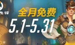 鹰王比赛爆料视频大全下载,精彩瞬间回顾与幕后揭秘