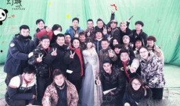 杀青在线观看,在线观看，揭秘悬疑剧情的终极揭秘