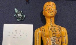 人体模型最新爆料视频网,最新爆料视频深度解析