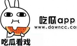 专门吃网红瓜的app,热门APP带你畅游娱乐圈风云变幻