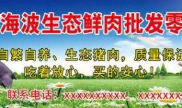 土人设计爆料视频大全集,揭秘设计界的幕后故事