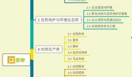 凯亚衣服爆料视频大全集,时尚潮流尽收眼底