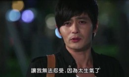 有品格的她在线观看,深度解析有品格的她的在线观看体验