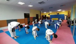 跆拳道最新爆料,神秘事件揭秘，高手对决背后的真相