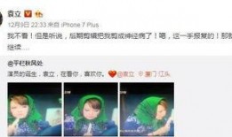 袁立微博爆料完整视频,揭秘事件真相与背后故事