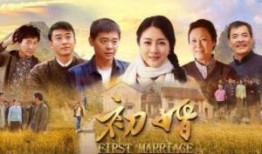 初婚电视剧在线观看,爱情与现实的交织