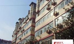 石家庄公寓爆料最新消息,揭秘神秘项目背后的真相