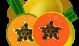 旅游吃瓜视频素材下载免费,跟随吃瓜视频，免费下载美食攻略