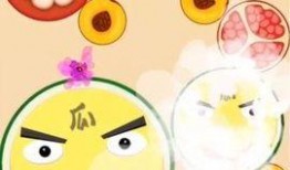 游戏娱乐吃瓜玩家,吃瓜玩家揭秘幕后故事