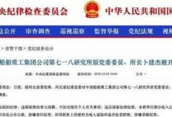 加拿大高管爆料视频播放,揭秘企业内部惊人内幕